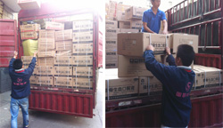 ����ҽҩ������˾ͼƬ