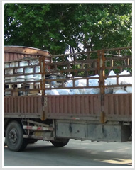 ��ɳͨ����������