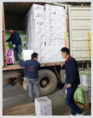 �������� ��Ч�淶