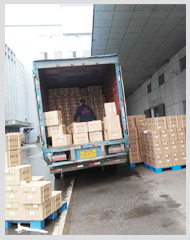 �������� ��������ʧ��