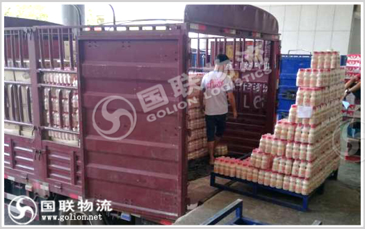 ����������  ��������