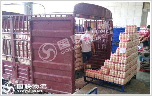 ����ר������  ��������