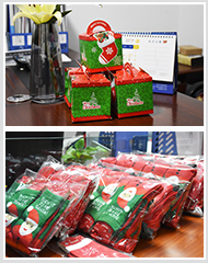 ����ʥ����������ʲôԸ����